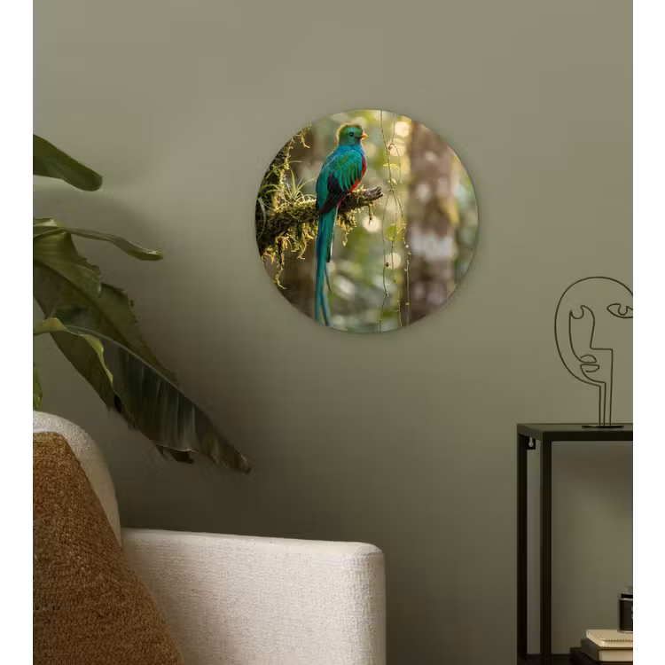 Quetzal - Jungle - Natuur - Groen Wandcirkel kunststof plaat 5mm dik klein -sfeer3