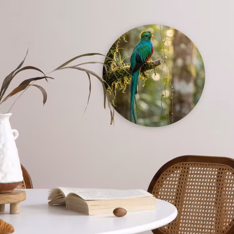 Quetzal - Jungle - Natuur - Groen Wandcirkel kunststof plaat 5mm dik klein -sfeer4