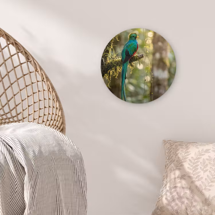 Quetzal - Jungle - Natuur - Groen Wandcirkel kunststof plaat 5mm dik klein -sfeer5