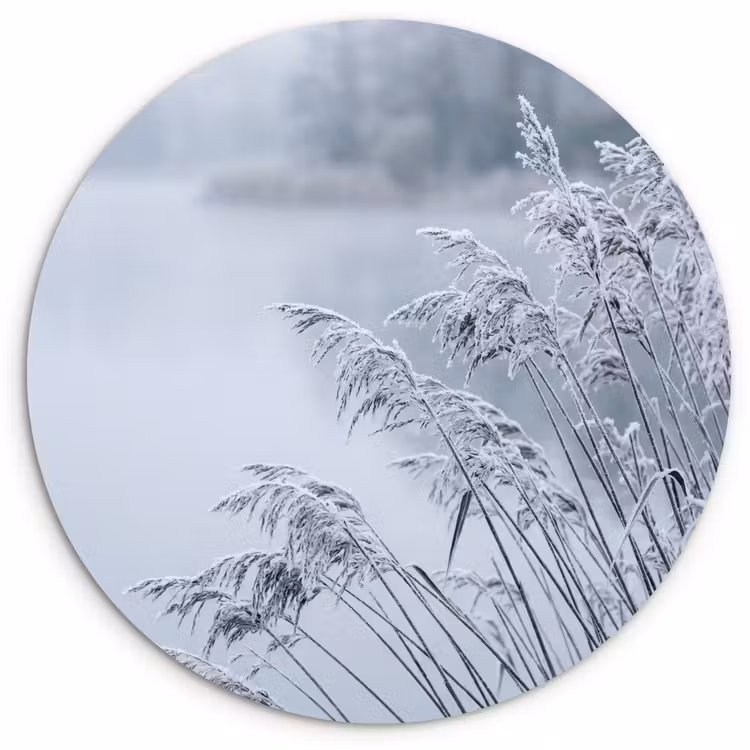 Riet - Bevroren - Winter - Natuur Wandcirkel kunststof plaat 5mm dik klein -3d