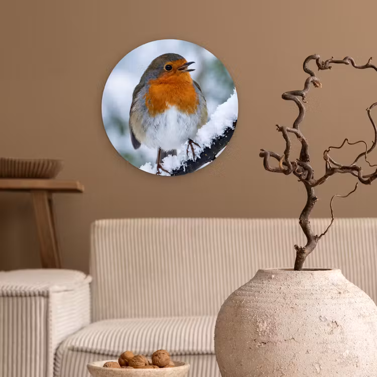Roodborstje - Tak - Sneeuw - Winter - Levendig Wandcirkel kunststof plaat 5mm dik klein -sfeer1