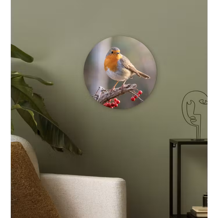 Roodborst - Tak - Bessen - Natuur Wandcirkel kunststof plaat 5mm dik klein -sfeer3