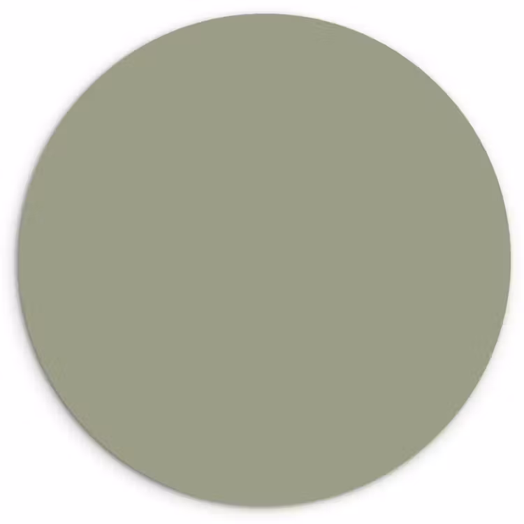Sage - Mist - Groen Wandcirkel kunststof plaat 5mm dik klein 188 -3d