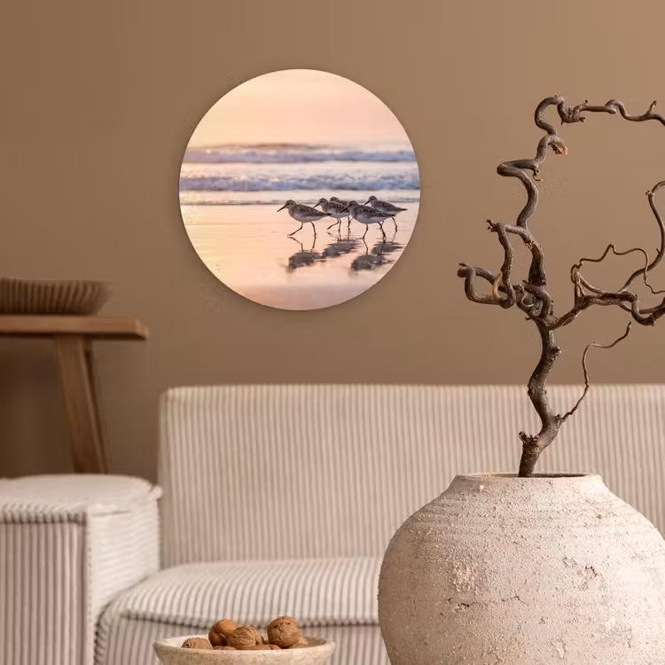 Zee - Vogels - Strand Wandcirkel kunststof plaat 5mm dik klein -sfeer1