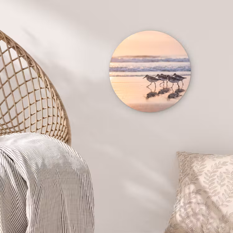 Zee - Vogels - Strand Wandcirkel kunststof plaat 5mm dik klein -sfeer5