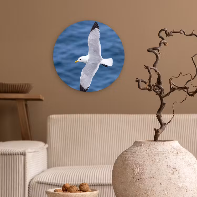 Zeemeeuw - Oceaan - Blauw Wandcirkel kunststof plaat 5mm dik klein -sfeer1