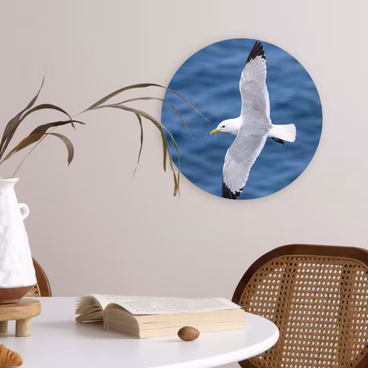 Zeemeeuw - Oceaan - Blauw Wandcirkel kunststof plaat 5mm dik klein -sfeer4