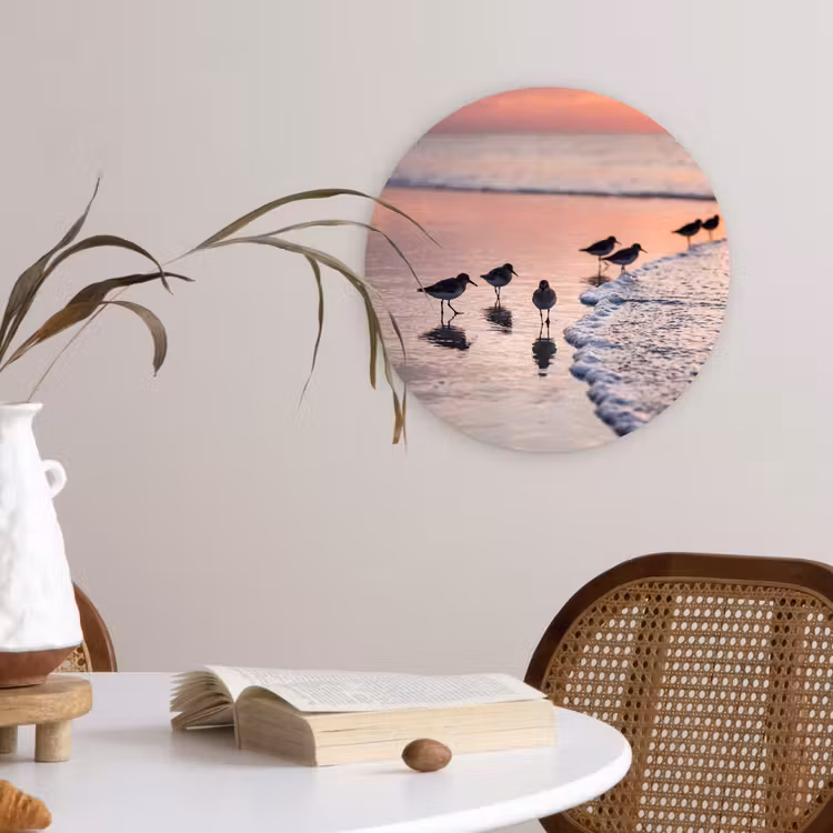 Meeuwen - Strand - Zee - Roze Wandcirkel kunststof plaat 5mm dik klein -sfeer4