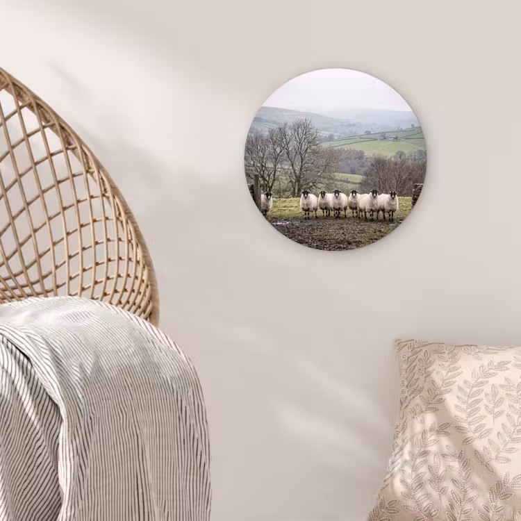 Schapen - Rij - Weide - Dieren - Platteland Wandcirkel kunststof plaat 5mm dik klein -sfeer5