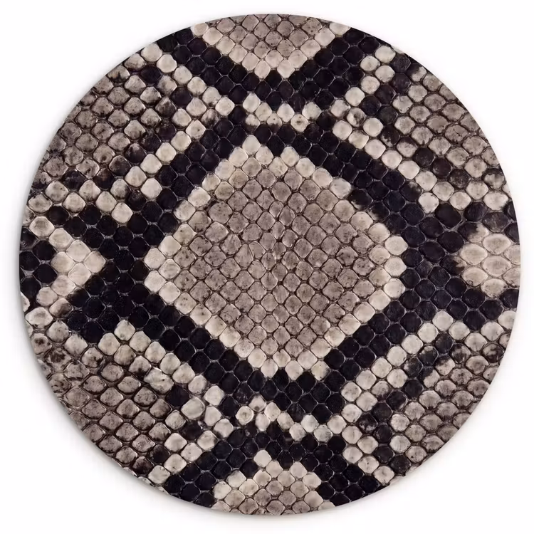 Slangenleer - Patroon - Beige Wandcirkel kunststof plaat 5mm dik klein -3d