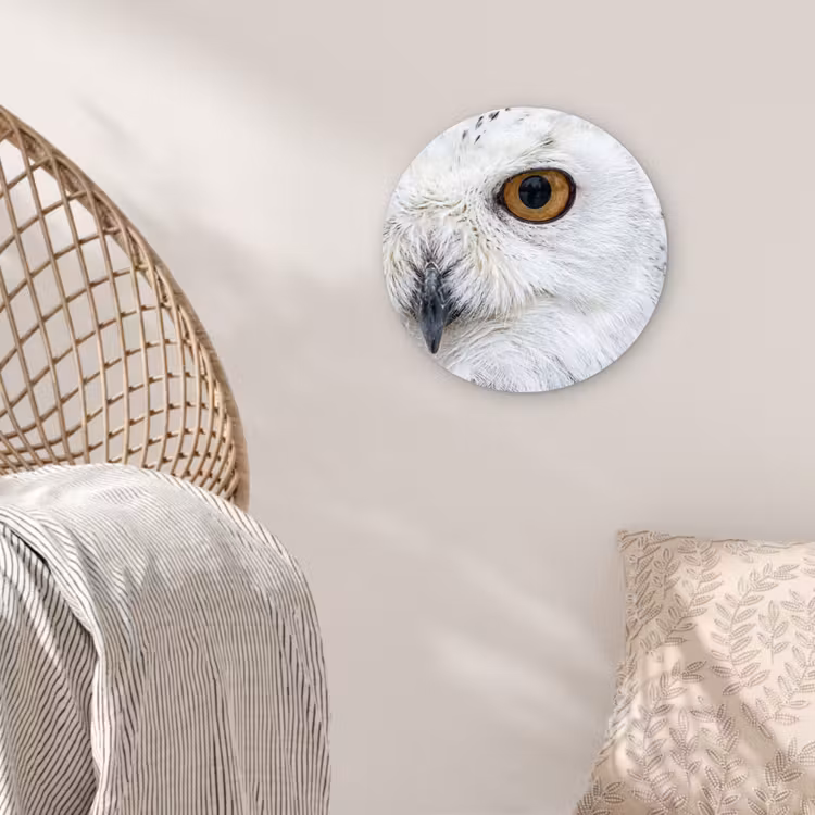 Sneeuwuil - Oog - Wildlife - Wit Wandcirkel kunststof plaat 5mm dik klein -sfeer5