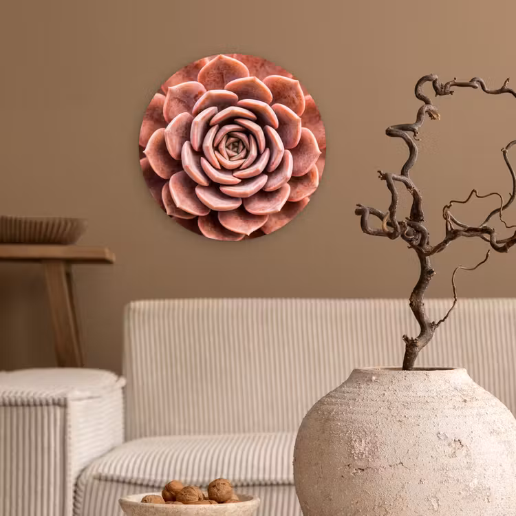 Vetplant - Organisch - Roze Wandcirkel kunststof plaat 5mm dik klein -sfeer1