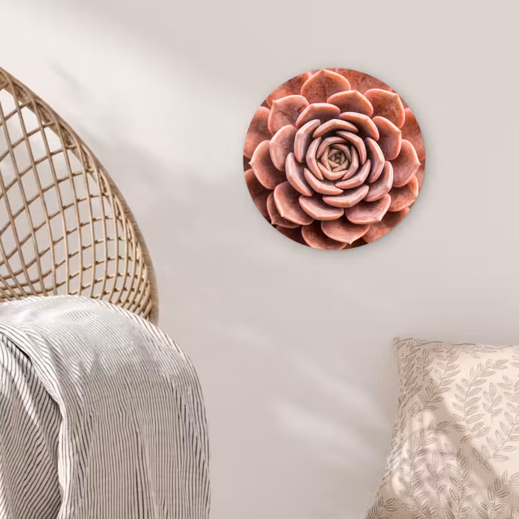 Vetplant - Organisch - Roze Wandcirkel kunststof plaat 5mm dik klein -sfeer5