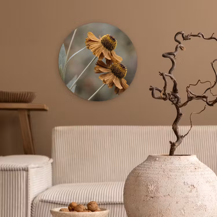Zonnehoed - Droogbloemen - Geel - Warm Wandcirkel kunststof plaat 5mm dik klein -sfeer1