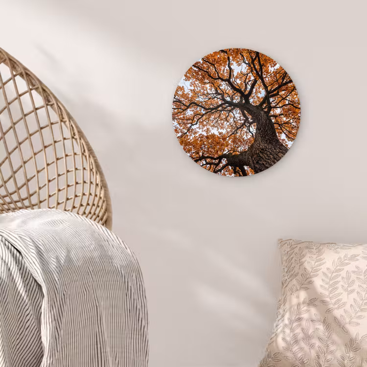 Boom - Bladerdak - Herfst - Oranje - Sfeervol Wandcirkel kunststof plaat 5mm dik klein -sfeer5