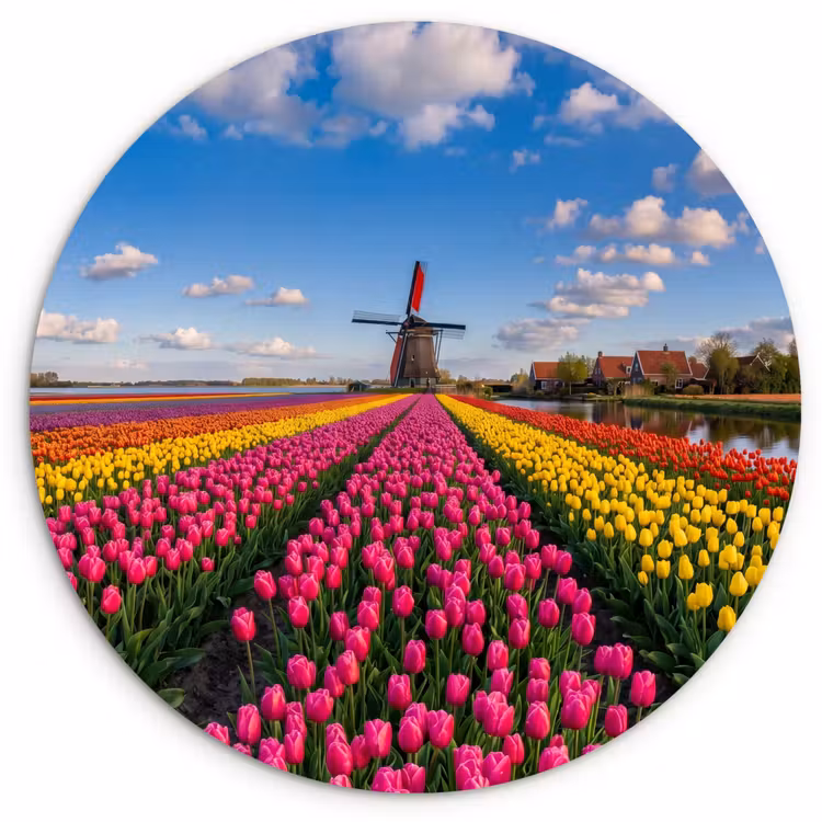Tulpen - Holland - Molen - Kleurrijk Wandcirkel kunststof plaat 5mm dik klein -3d