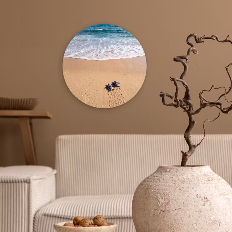 Schildpad - Jong - Strand - Oceaan - Blauw Wandcirkel kunststof plaat 5mm dik klein -sfeer1