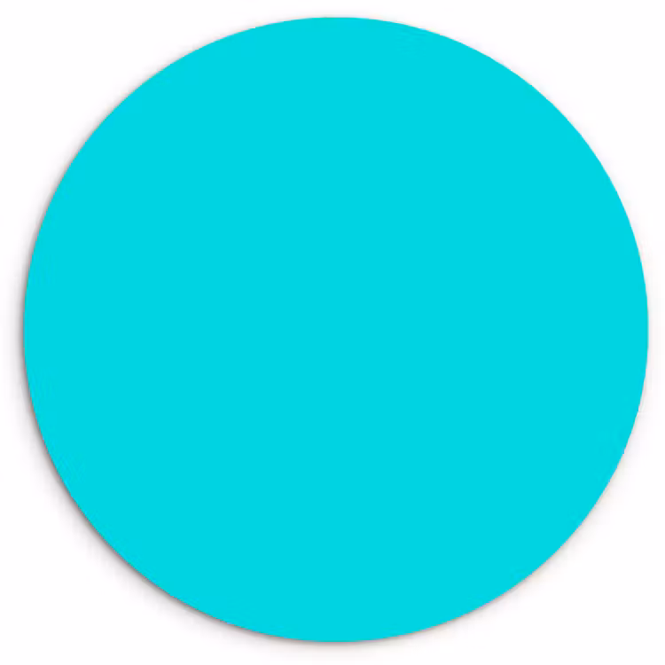 Vivid - Aquamarine - Turkoois Wandcirkel kunststof plaat 5mm dik klein 188 -3d