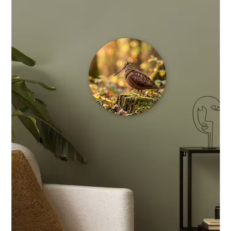 Houtsnip - Bos - Bladeren - Herfst - Gecamoufleerd Wandcirkel kunststof plaat 5mm dik klein -sfeer3