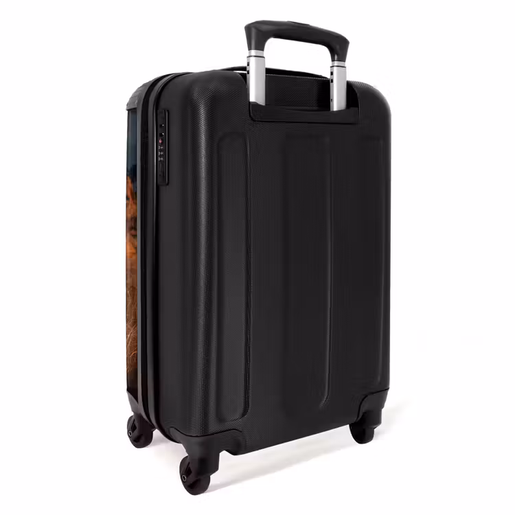 Strand bij zonsondergang NBS - Handbagage koffer - Unisex middel -achterkant