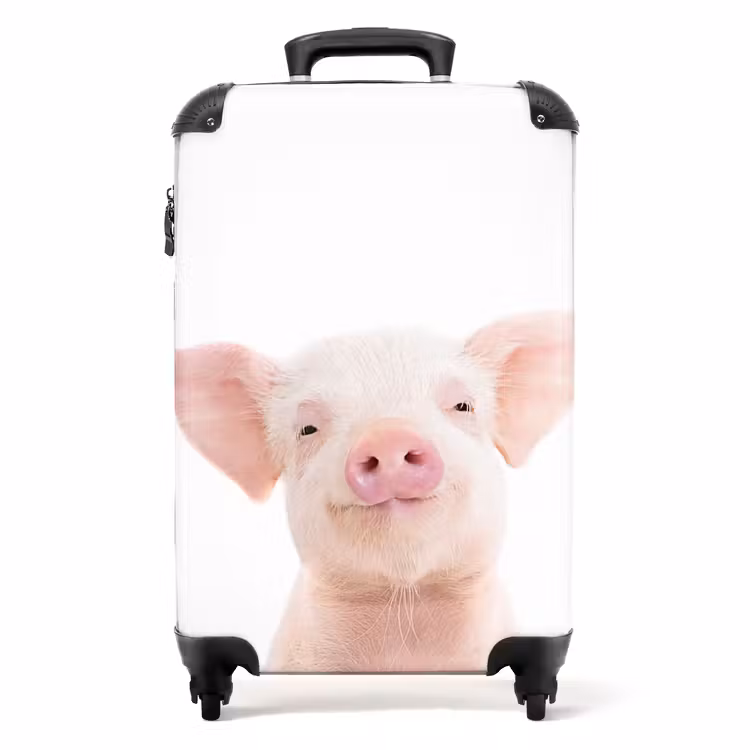 Binky Big NBS - Handbagage koffer - Unisex middel -productfoto_recht
