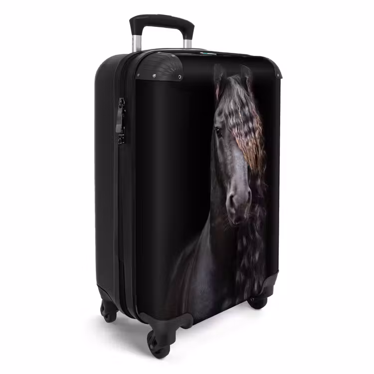 Koninklijke Hengst NBS - Handbagage koffer - Unisex middel -productfoto_3d
