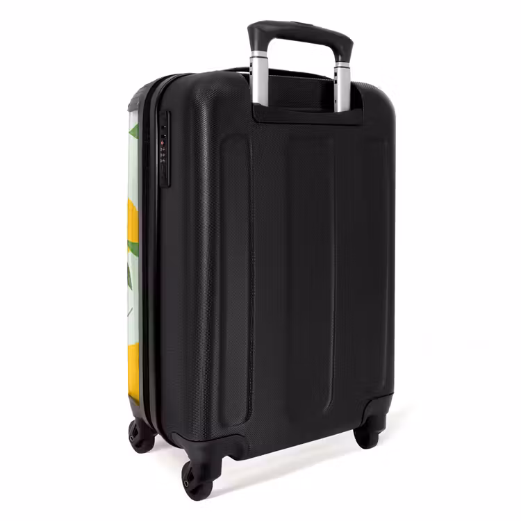 43 NBS - Handbagage koffer - Unisex middel -achterkant