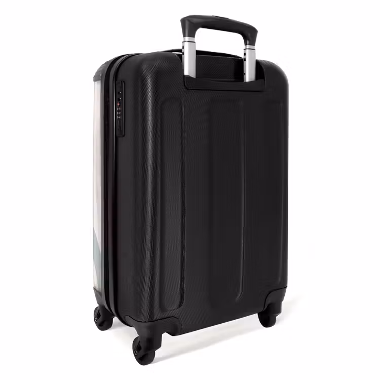 Ruwe regenboog aqua NBS - Handbagage koffer - Unisex middel -achterkant