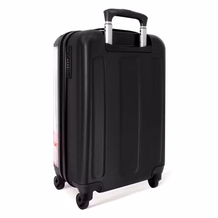 Pastel Praalpaard NBS - Handbagage koffer - Kinderen Unisex middel -achterkant