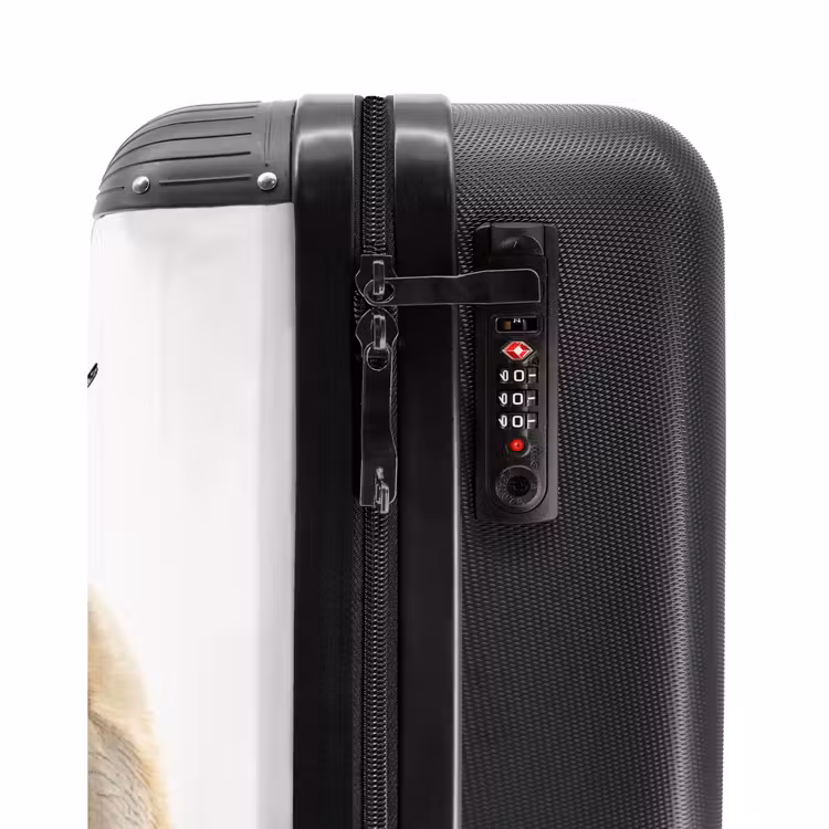 Zyon Zeehond NBS - Handbagage koffer - Kinderen Unisex middel -slot
