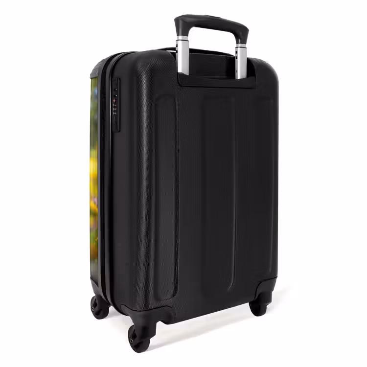 Woutje werkzaam NBS - Handbagage koffer - Unisex middel -achterkant