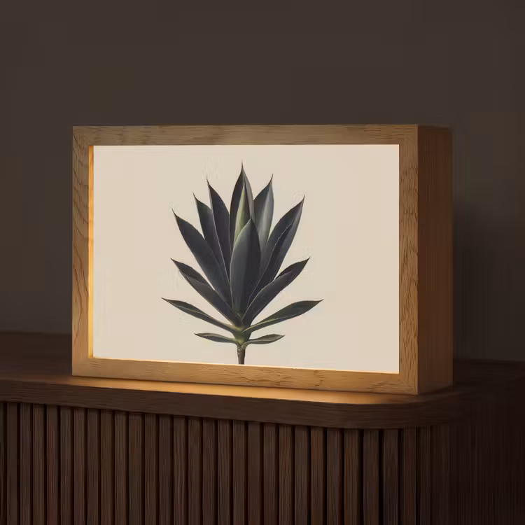 Agaveplant - Symmetrisch - Groen Light Box met kabel (Tafellamp) klein -z3d_website