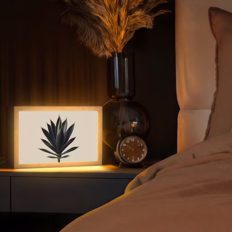Agaveplant - Symmetrisch - Groen Light Box met kabel (Tafellamp) klein -sfeer1