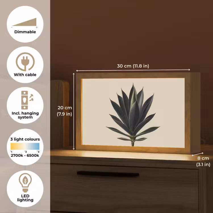 Agaveplant - Symmetrisch - Groen Light Box met kabel (Tafellamp) klein -USP_EN