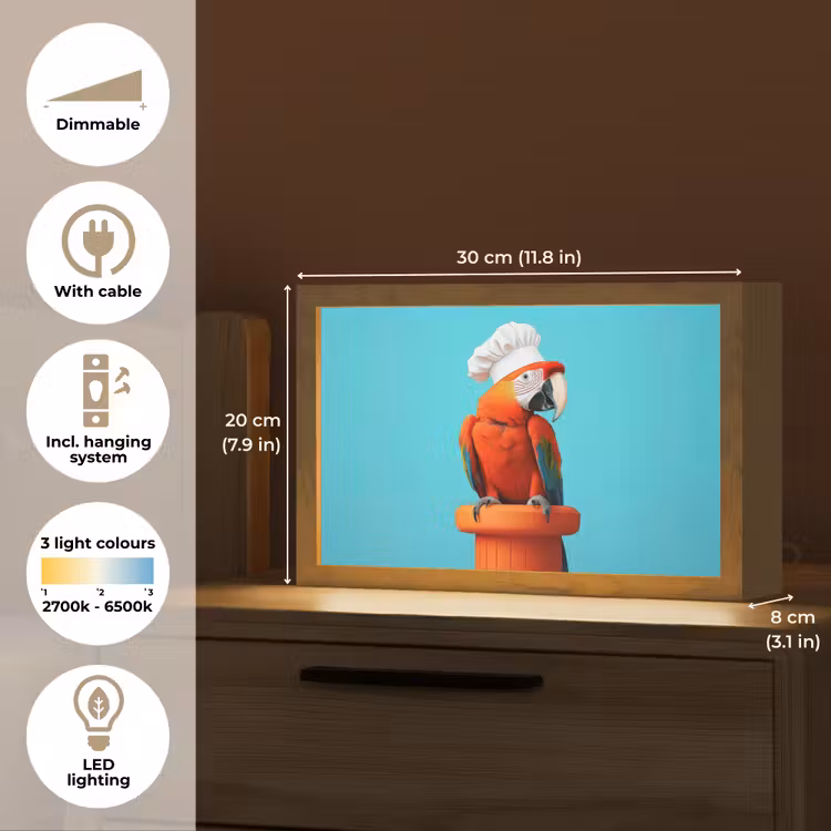 Ara - Koksmuts - Sokkel - Grappig Light Box met kabel (Tafellamp) klein -USP_EN