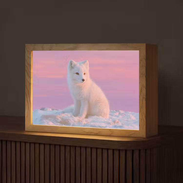 Poolvos - Sneeuw - Roze Light Box met kabel (Tafellamp) klein -z3d_website