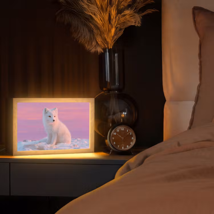 Poolvos - Sneeuw - Roze Light Box met kabel (Tafellamp) klein -sfeer1