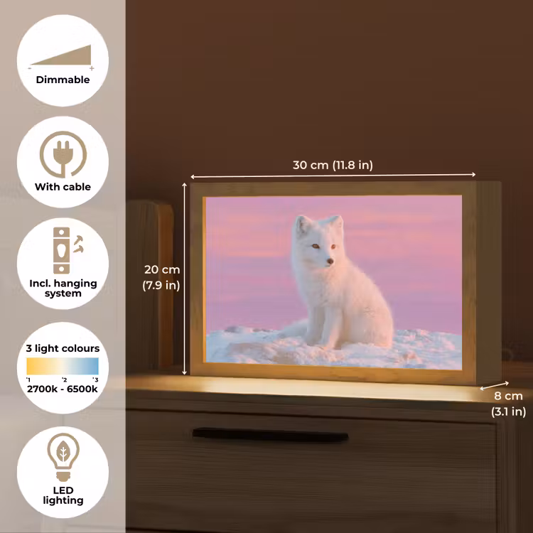 Poolvos - Sneeuw - Roze Light Box met kabel (Tafellamp) klein -USP_EN