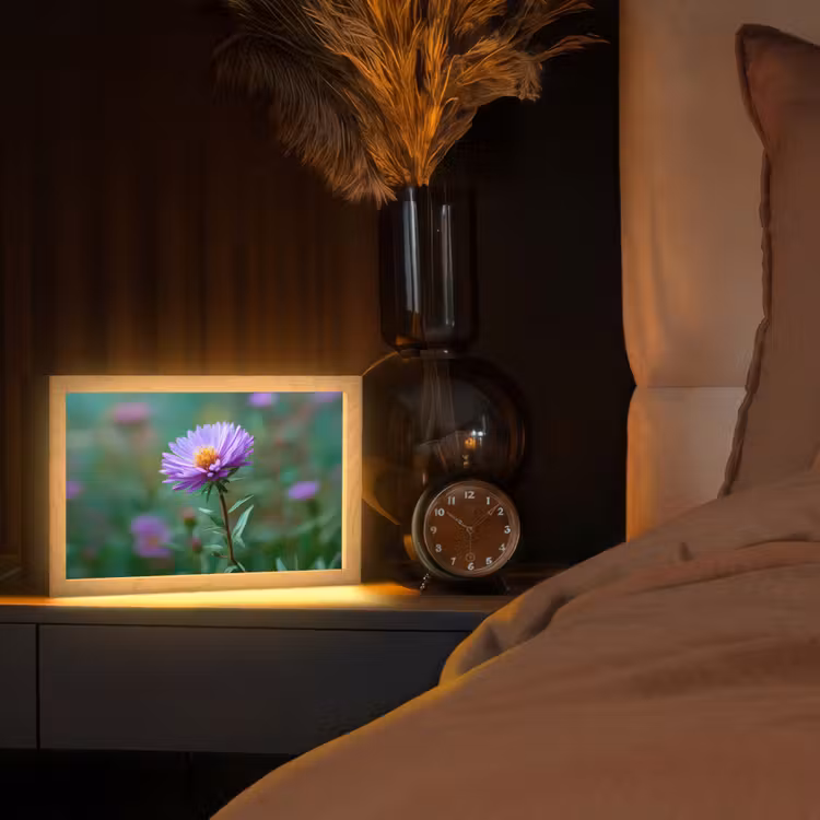 Aster - Paars - Bloem - Blaadjes Light Box met kabel (Tafellamp) klein -sfeer1