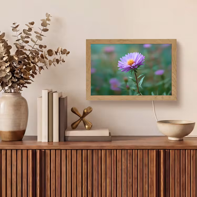 Aster - Paars - Bloem - Blaadjes Light Box met kabel (Tafellamp) klein -sfeer2