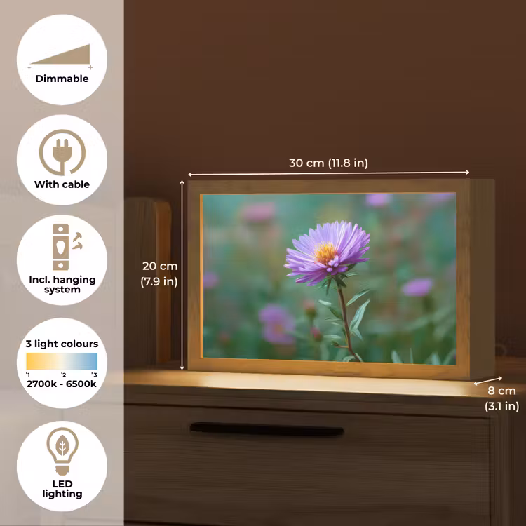 Aster - Paars - Bloem - Blaadjes Light Box met kabel (Tafellamp) klein -USP_EN