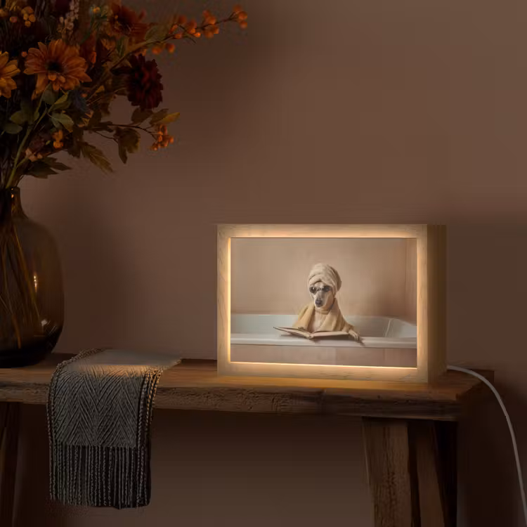 Bad - Hond - Boek - Zonnebril Light Box met kabel (Tafellamp) klein -sfeer4