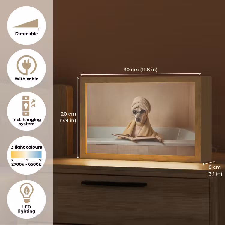 Bad - Hond - Boek - Zonnebril Light Box met kabel (Tafellamp) klein -USP_EN