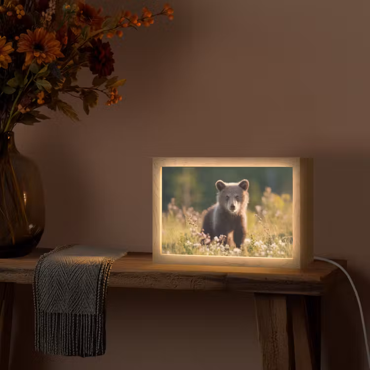 Beer - Bloemenveld - Gras Light Box met kabel (Tafellamp) klein -sfeer4