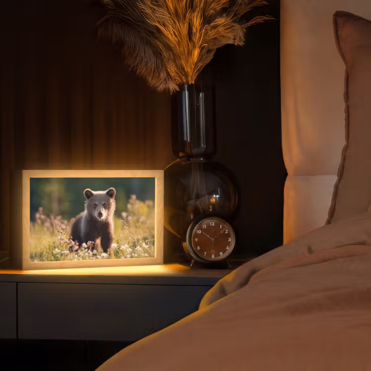 Beer - Bloemenveld - Gras Light Box met kabel (Tafellamp) klein -sfeer1
