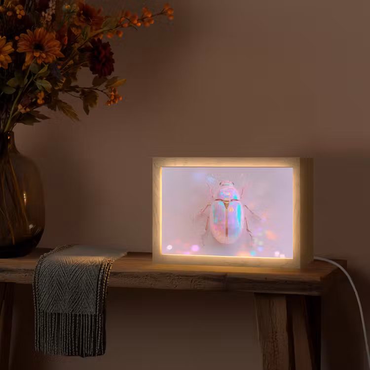 Kever - Metallic - Lichteffect - Roze Light Box met kabel (Tafellamp) klein -sfeer4