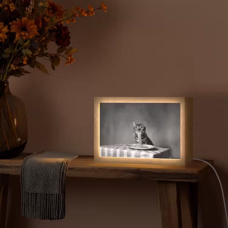 Bengaal - Kat - Tafelkleed - Zwart - Wit - Dier Light Box met kabel (Tafellamp) klein -sfeer4