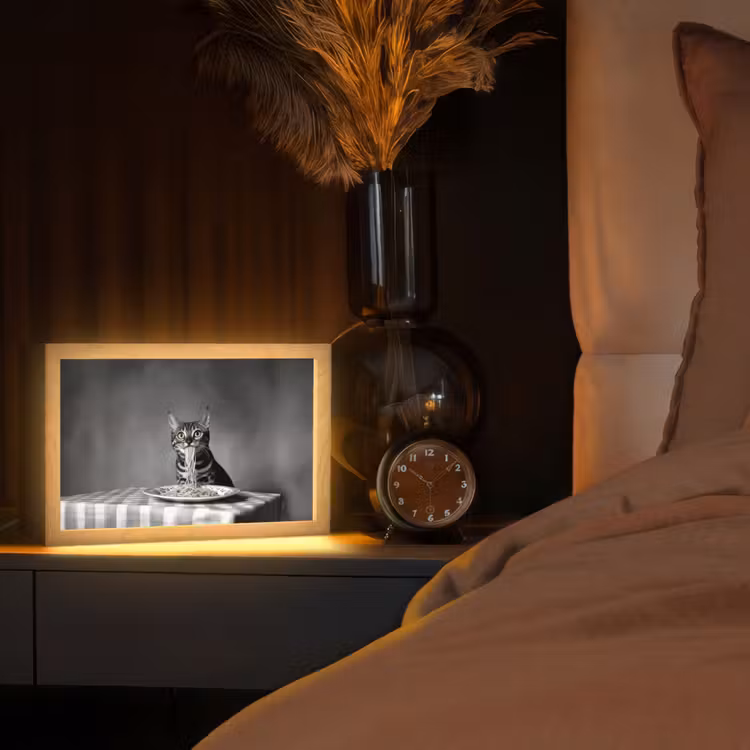 Bengaal - Kat - Tafelkleed - Zwart - Wit - Dier Light Box met kabel (Tafellamp) klein -sfeer1
