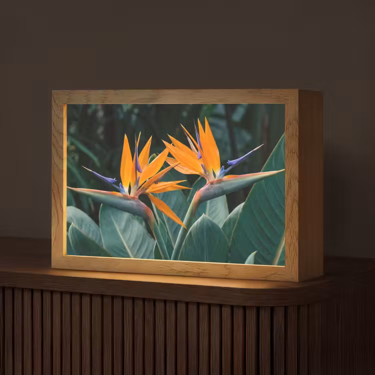 Paradijsvogel - Bloem - Exotisch Light Box met kabel (Tafellamp) klein -z3d_website