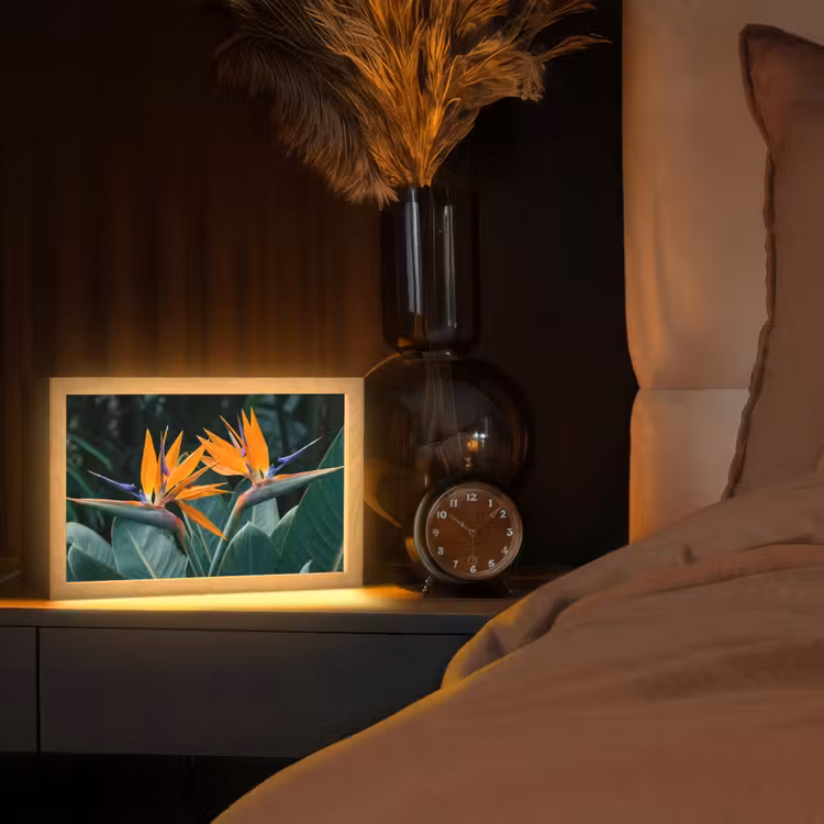 Paradijsvogel - Bloem - Exotisch Light Box met kabel (Tafellamp) klein -sfeer1